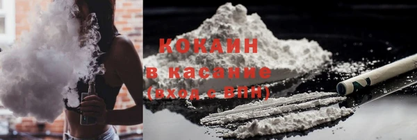 шишки Алексеевка