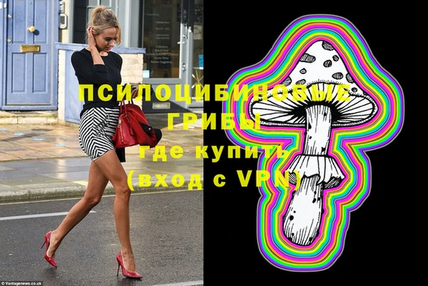 шишки Алексеевка