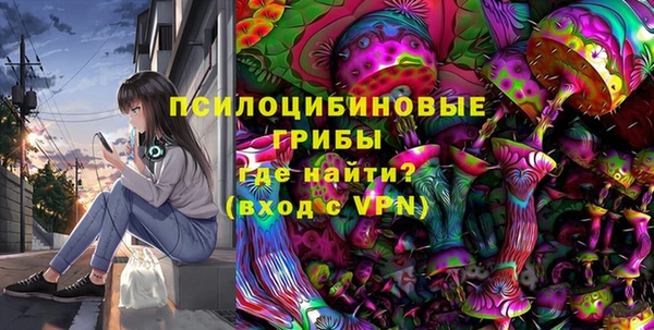 стафф Алзамай