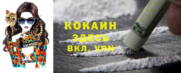 стафф Алзамай