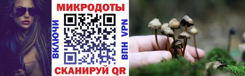 Псилоцибиновые грибы Psilocybine cubensis  Ступино 