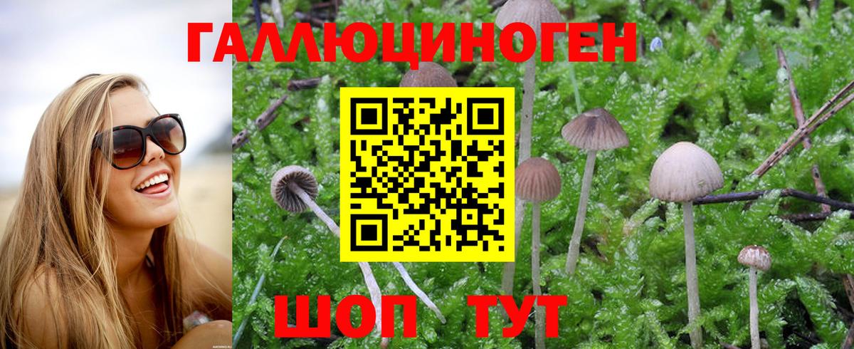 Галлюциногенные грибы MAGIC MUSHROOMS Ступино
